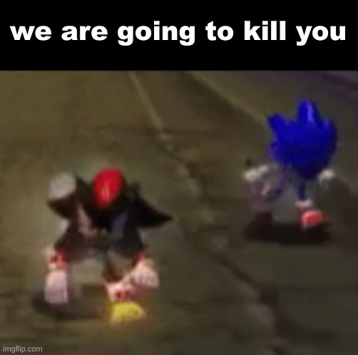 im JOING to kill you | we are going to kill you | image tagged in sonic and shadow stare run | made w/ Imgflip meme maker