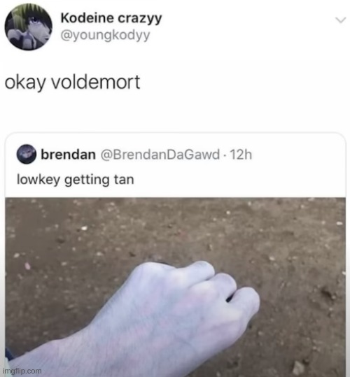 but Voldemort isn't real- | image tagged in repost | made w/ Imgflip meme maker