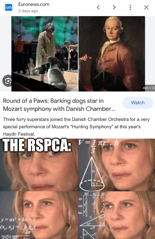 Royal Society for the Preventive of Cruelty to Animals | THE RSPCA: | image tagged in math lady/confused lady,rspca,dogs,music | made w/ Imgflip meme maker