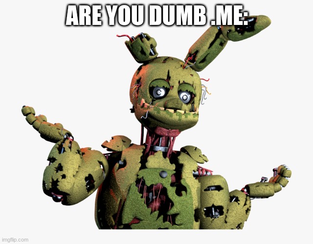 derpy springtrap | ARE YOU DUMB .ME: | image tagged in derpy springtrap | made w/ Imgflip meme maker