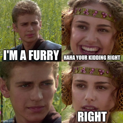 Anakin Padme 4 Panel | I'M A FURRY; HAHA YOUR KIDDING RIGHT; RIGHT | image tagged in anakin padme 4 panel | made w/ Imgflip meme maker