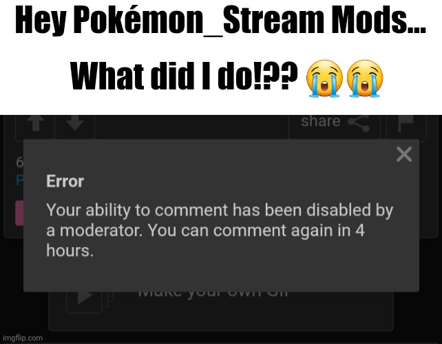 I am not angry since it is only 4 hours, I just wanna know what I did | Hey Pokémon_Stream Mods... What did I do!?? 😭😭 | image tagged in why | made w/ Imgflip meme maker