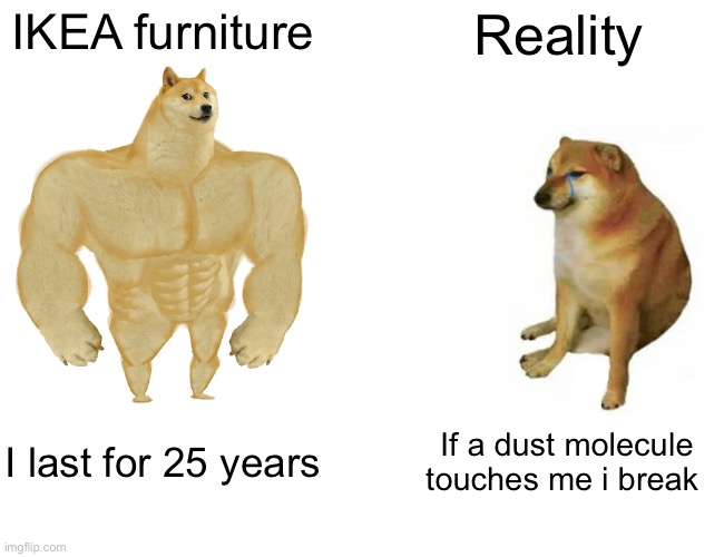 Buff Doge vs. Cheems | IKEA furniture; Reality; I last for 25 years; If a dust molecule touches me i break | image tagged in memes,buff doge vs cheems | made w/ Imgflip meme maker