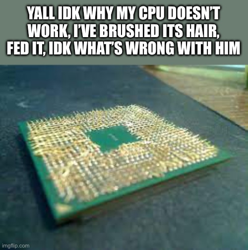 Such an ungrateful child ? | YALL IDK WHY MY CPU DOESN’T WORK, I’VE BRUSHED ITS HAIR, FED IT, IDK WHAT’S WRONG WITH HIM | image tagged in cursed,hardware gore | made w/ Imgflip meme maker