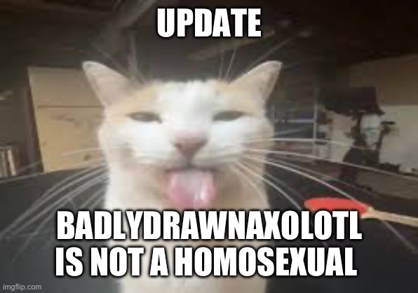 Cat | UPDATE; BADLYDRAWNAXOLOTL IS NOT A HOMOSEXUAL | image tagged in cat | made w/ Imgflip meme maker