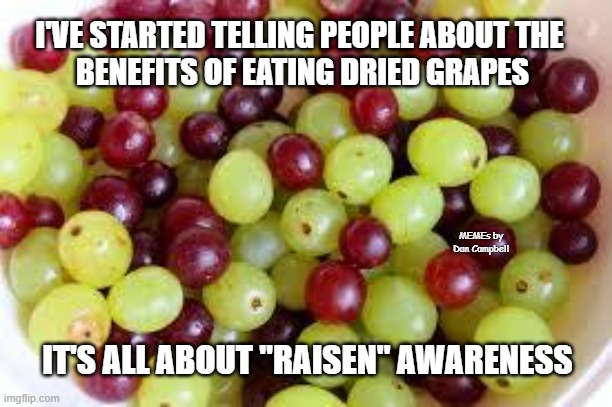 Grapes... | I'VE STARTED TELLING PEOPLE ABOUT THE 
BENEFITS OF EATING DRIED GRAPES; MEMEs by Dan Campbell; IT'S ALL ABOUT "RAISEN" AWARENESS | image tagged in grapes | made w/ Imgflip meme maker