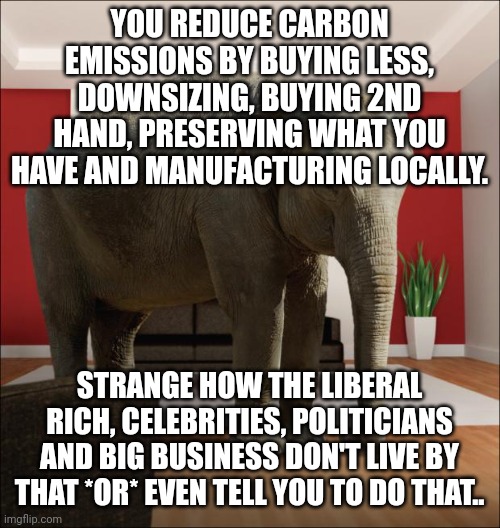..infact it seems it's pretty much the opposite... keep buying! The climate depends on it apparently.. | YOU REDUCE CARBON EMISSIONS BY BUYING LESS, DOWNSIZING, BUYING 2ND HAND, PRESERVING WHAT YOU HAVE AND MANUFACTURING LOCALLY. STRANGE HOW THE LIBERAL RICH, CELEBRITIES, POLITICIANS AND BIG BUSINESS DON'T LIVE BY THAT *OR* EVEN TELL YOU TO DO THAT.. | image tagged in elephant in the room | made w/ Imgflip meme maker