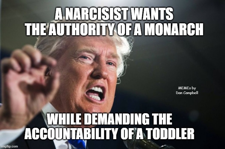 donald trump | A NARCISIST WANTS THE AUTHORITY OF A MONARCH; MEMEs by Dan Campbell; WHILE DEMANDING THE ACCOUNTABILITY OF A TODDLER | image tagged in donald trump | made w/ Imgflip meme maker