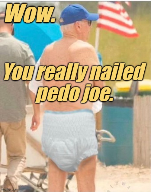 Wow. You really nailed 
pedo joe. | made w/ Imgflip meme maker