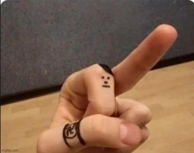 heil finger | image tagged in heil finger | made w/ Imgflip meme maker