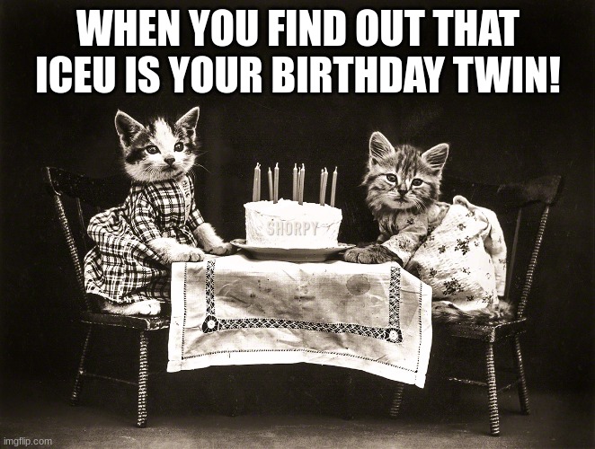 The Best Present :) | WHEN YOU FIND OUT THAT ICEU IS YOUR BIRTHDAY TWIN! | image tagged in birthday cats,iceu,birthday | made w/ Imgflip meme maker