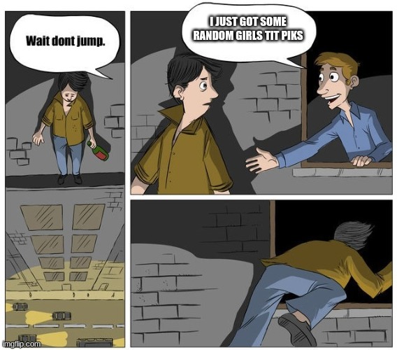 Wait dont jump | I JUST GOT SOME RANDOM GIRLS TIT PIKS | image tagged in wait dont jump | made w/ Imgflip meme maker