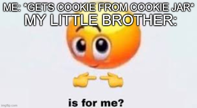 true | MY LITTLE BROTHER:; ME: *GETS COOKIE FROM COOKIE JAR* | image tagged in is for me | made w/ Imgflip meme maker