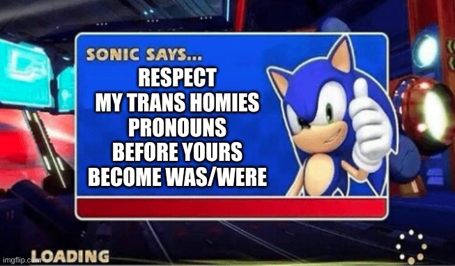 Sonic Says | RESPECT MY TRANS HOMIES PRONOUNS BEFORE YOURS BECOME WAS/WERE | image tagged in sonic says | made w/ Imgflip meme maker