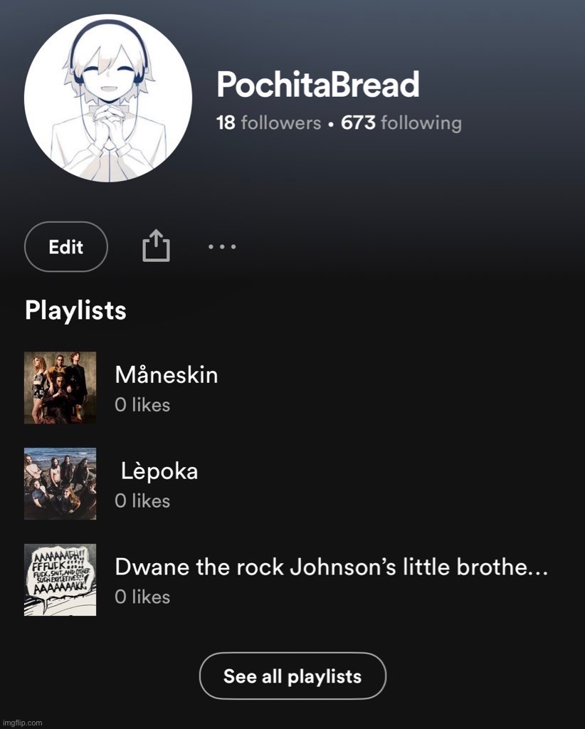 Bruh they changed the thing where it showed how many playlists you had, how am I supposed to tell how many playlists I have | made w/ Imgflip meme maker
