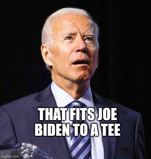 Joe Biden | THAT FITS JOE BIDEN TO A TEE | image tagged in joe biden | made w/ Imgflip meme maker