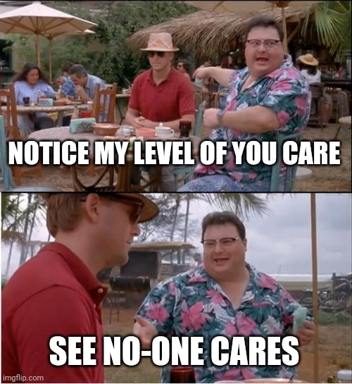 See Nobody Cares | NOTICE MY LEVEL OF YOU CARE; SEE NO-ONE CARES | image tagged in memes,see nobody cares | made w/ Imgflip meme maker
