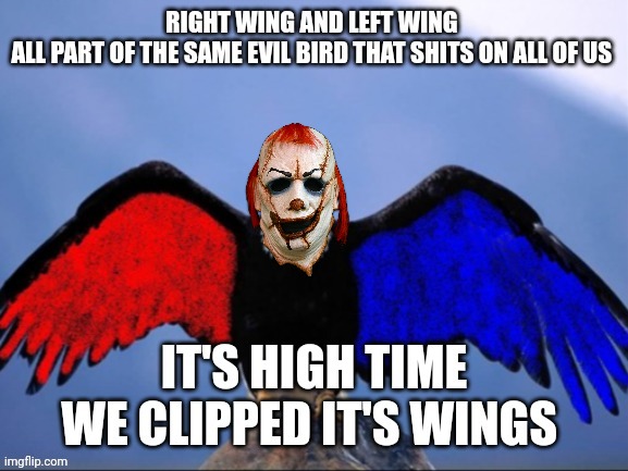 right wing left wing | image tagged in political meme | made w/ Imgflip meme maker