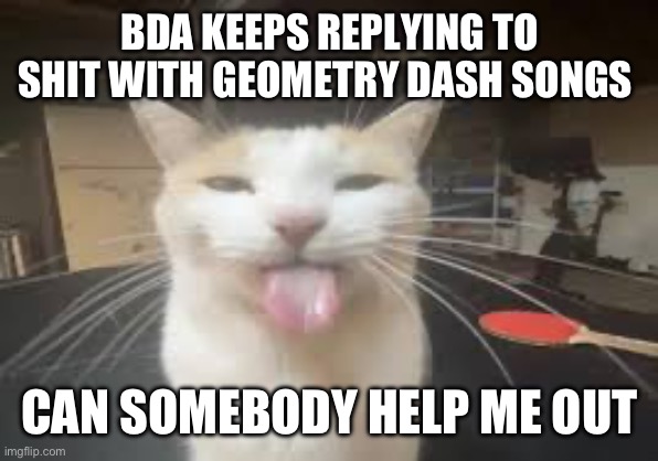 Cat | BDA KEEPS REPLYING TO SHIT WITH GEOMETRY DASH SONGS; CAN SOMEBODY HELP ME OUT | image tagged in cat | made w/ Imgflip meme maker