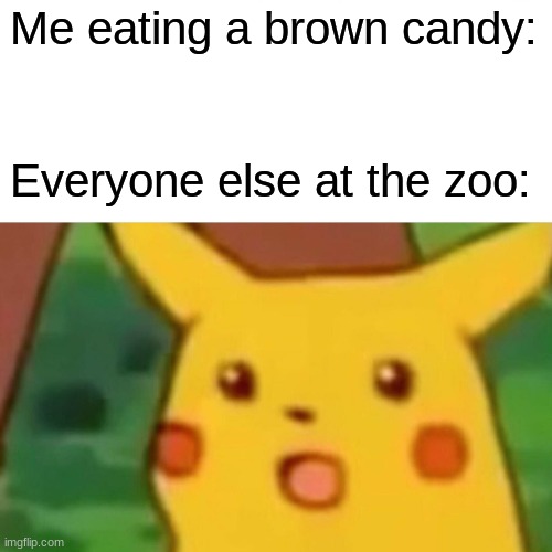 uh oh... | Me eating a brown candy:; Everyone else at the zoo: | image tagged in memes,surprised pikachu | made w/ Imgflip meme maker
