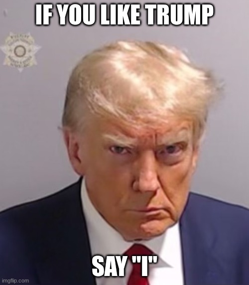 probably my only post here | IF YOU LIKE TRUMP; SAY "I" | image tagged in donald trump mugshot | made w/ Imgflip meme maker