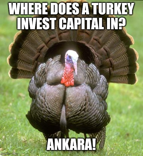 Joke | WHERE DOES A TURKEY INVEST CAPITAL IN? ANKARA! | image tagged in memes,turkey,ankara,jokes | made w/ Imgflip meme maker