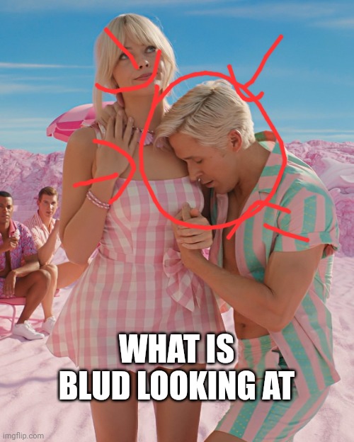 Barbie and Ken | WHAT IS BLUD LOOKING AT | image tagged in barbie and ken | made w/ Imgflip meme maker