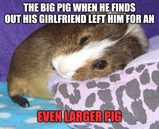 Important bigpig facts | THE BIG PIG WHEN HE FINDS OUT HIS GIRLFRIEND LEFT HIM FOR AN; EVEN LARGER PIG | image tagged in need comfort,big,pig,facts | made w/ Imgflip meme maker