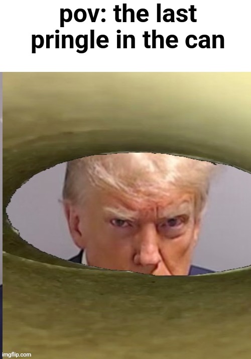 his small wrists should help him grab it | pov: the last pringle in the can | image tagged in pringles,donald trump,donald trump mugshot,what the last pringle sees | made w/ Imgflip meme maker