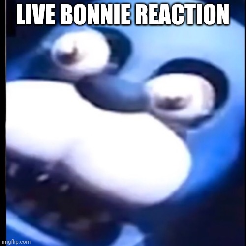 Surprised Bonnie | LIVE BONNIE REACTION | image tagged in surprised bonnie | made w/ Imgflip meme maker