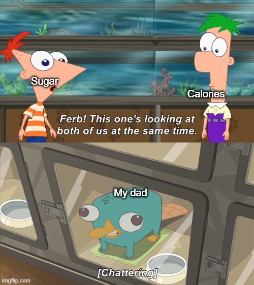 my dad is a junk food addict | Calories; Sugar; My dad | image tagged in phineas and ferb | made w/ Imgflip meme maker