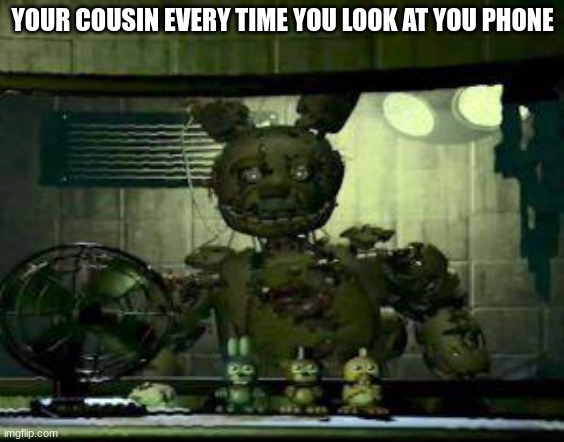 FNAF Springtrap in window | YOUR COUSIN EVERY TIME YOU LOOK AT YOU PHONE | image tagged in fnaf springtrap in window | made w/ Imgflip meme maker