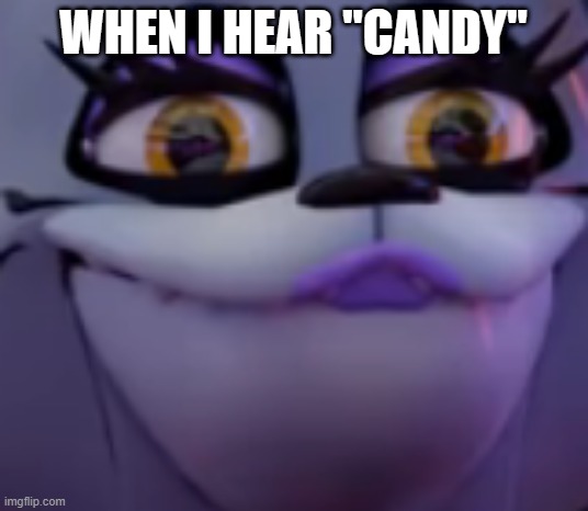 dit is da rall foony | WHEN I HEAR "CANDY" | image tagged in meme roxy | made w/ Imgflip meme maker