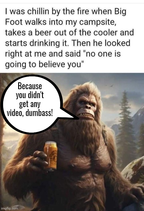 Bigfoot no video | Because you didn't get any video, dumbass! | image tagged in bigfoot | made w/ Imgflip meme maker