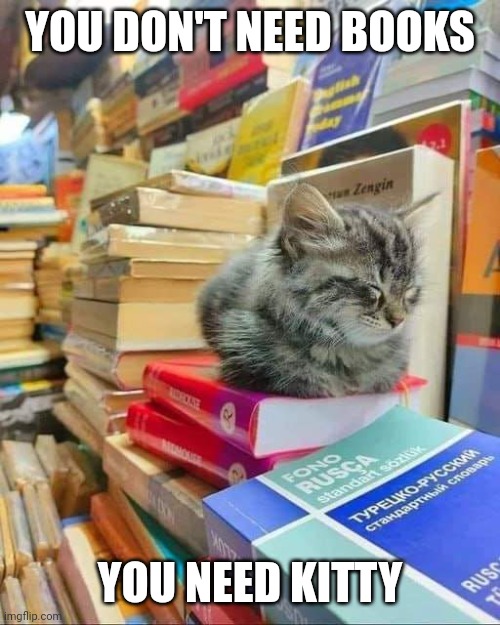 YOU DON'T NEED BOOKS; YOU NEED KITTY | image tagged in cats,funny cats | made w/ Imgflip meme maker