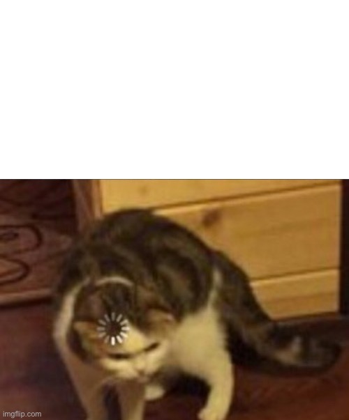 High Quality Loading cat better Blank Meme Template
