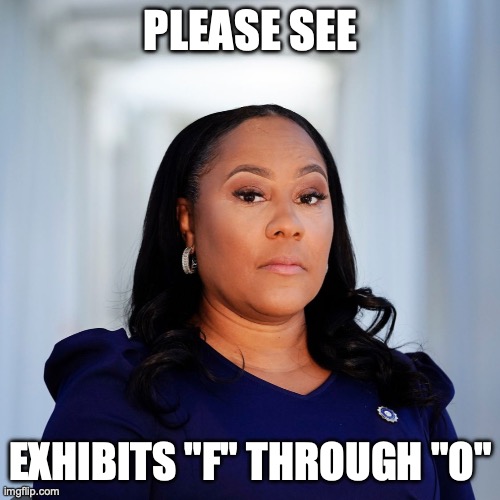 Fani Willis | PLEASE SEE; EXHIBITS "F" THROUGH "O" | image tagged in fani willis | made w/ Imgflip meme maker