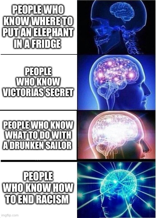 Expanding Brain | PEOPLE WHO KNOW WHERE TO PUT AN ELEPHANT IN A FRIDGE; PEOPLE WHO KNOW VICTORIAS SECRET; PEOPLE WHO KNOW WHAT TO DO WITH A DRUNKEN SAILOR; PEOPLE WHO KNOW HOW TO END RACISM | image tagged in memes,expanding brain | made w/ Imgflip meme maker