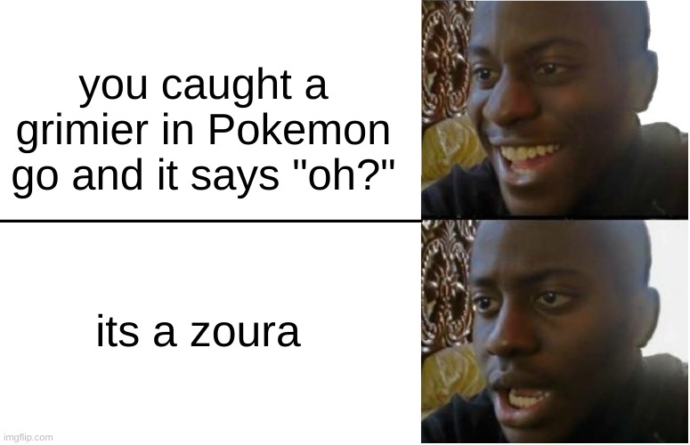 ahhhhhhhhhhhhhhhhhhhh! | you caught a grimier in Pokemon go and it says "oh?"; its a zoura | image tagged in disappointed black guy | made w/ Imgflip meme maker