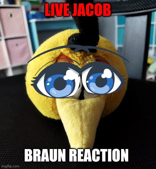 Wide eyes | LIVE JACOB; BRAUN REACTION | image tagged in jacob,braun,reaction | made w/ Imgflip meme maker