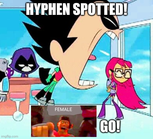 Specifically when it's used at the end of a sentence for no reason | HYPHEN SPOTTED! GO! | image tagged in robin yelling at starfire | made w/ Imgflip meme maker