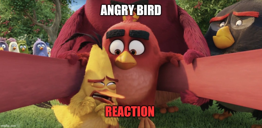 ANGRY BIRDS | ANGRY BIRD REACTION | image tagged in angry birds | made w/ Imgflip meme maker