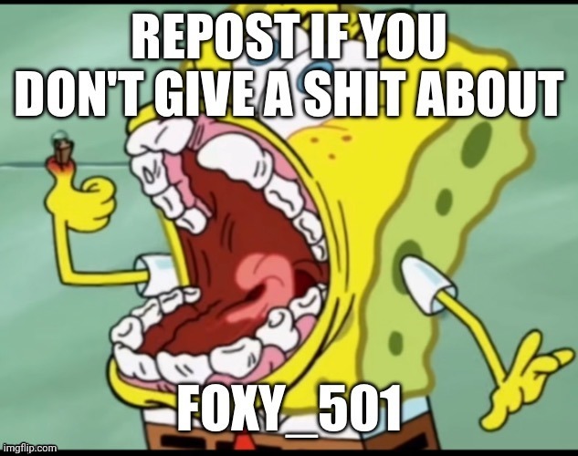 Stupid fucking snowflake | image tagged in stupid fucking snowflake | made w/ Imgflip meme maker
