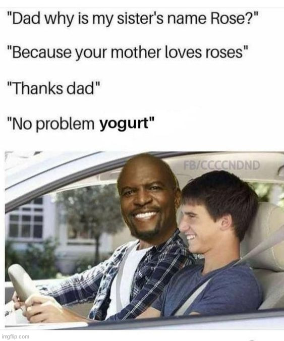 image tagged in memes | made w/ Imgflip meme maker