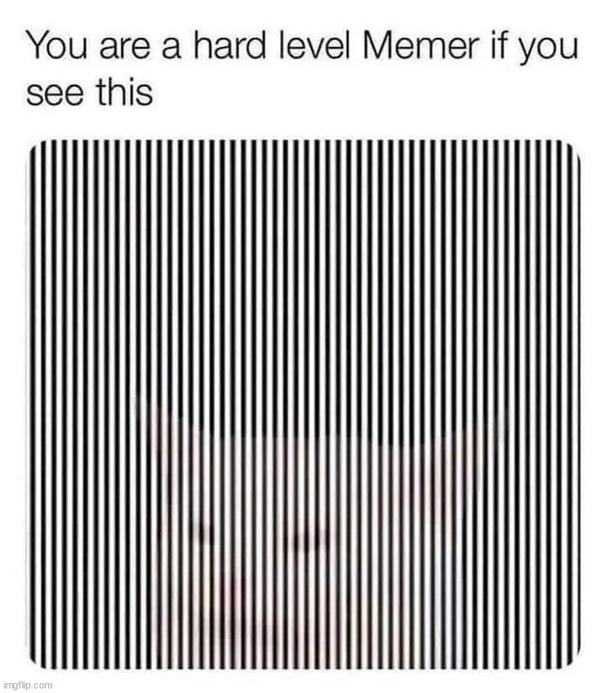 Only chads can see it | image tagged in memes,funny | made w/ Imgflip meme maker
