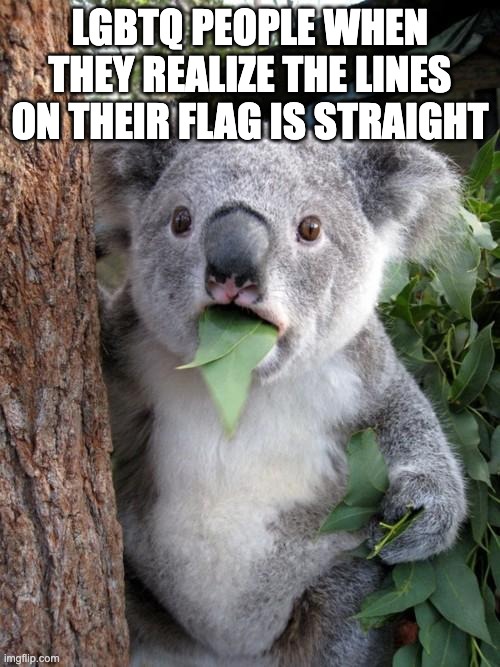 lgbbq | LGBTQ PEOPLE WHEN THEY REALIZE THE LINES ON THEIR FLAG IS STRAIGHT | image tagged in memes,surprised koala | made w/ Imgflip meme maker