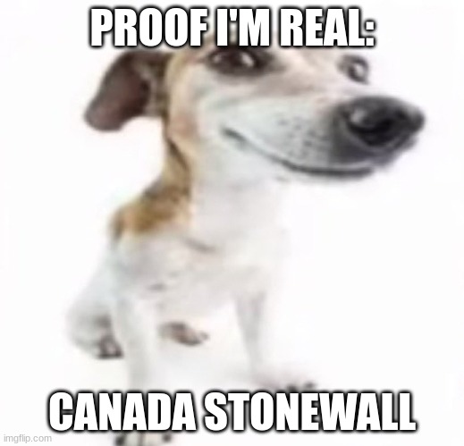 Anyone else remember? | PROOF I'M REAL:; CANADA STONEWALL | image tagged in jack russell terrier stock photo | made w/ Imgflip meme maker