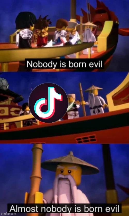 Down with TikTok! | image tagged in nobody is born evil | made w/ Imgflip meme maker