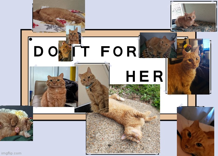 Do it for her | image tagged in do it for her | made w/ Imgflip meme maker