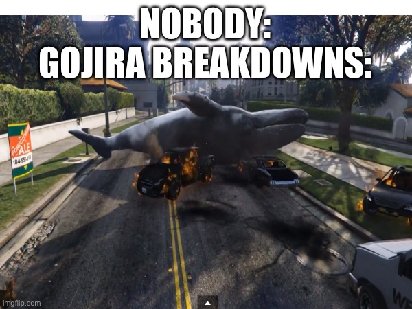 Gojira is whaleiholic | NOBODY:
GOJIRA BREAKDOWNS: | image tagged in heavy metal | made w/ Imgflip meme maker